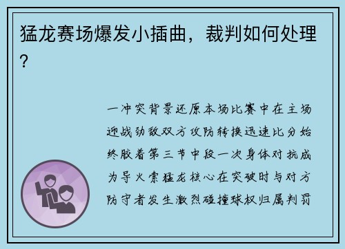 猛龙赛场爆发小插曲，裁判如何处理？